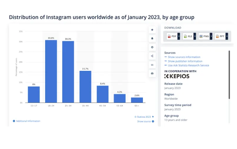Instagram Users Distribution